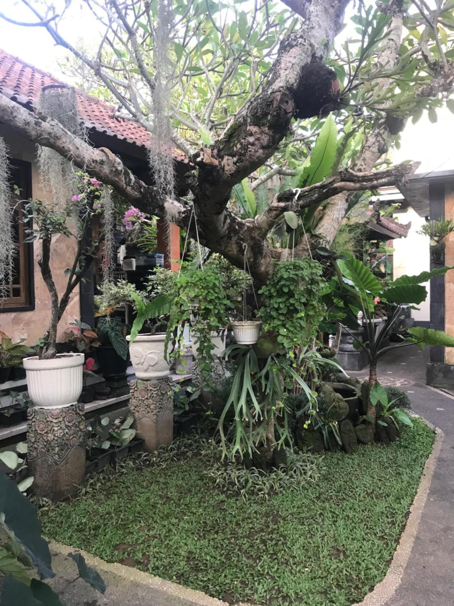 Gus Arditya Homestay Ubud  Luaran gambar
