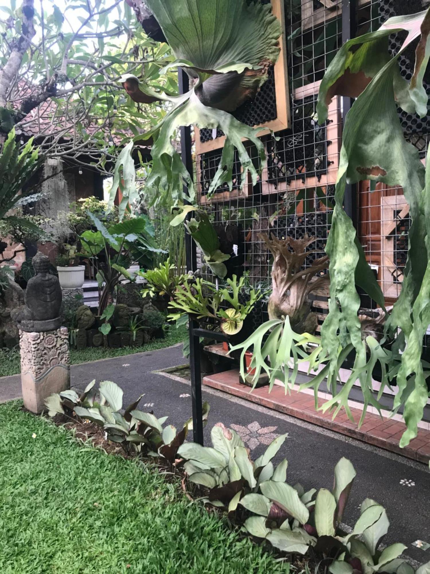 Gus Arditya Homestay Ubud  Luaran gambar