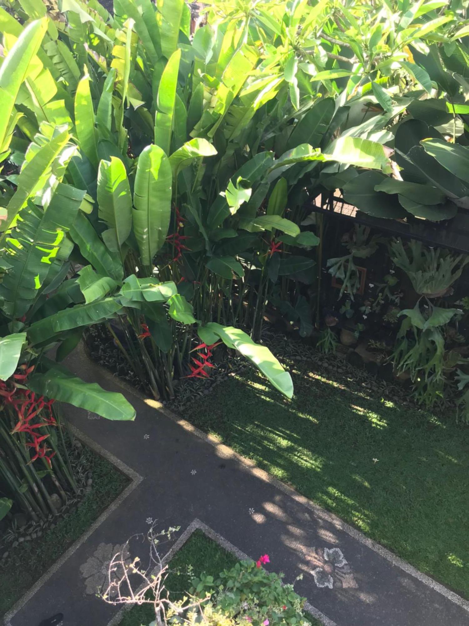 Gus Arditya Homestay Ubud  Luaran gambar