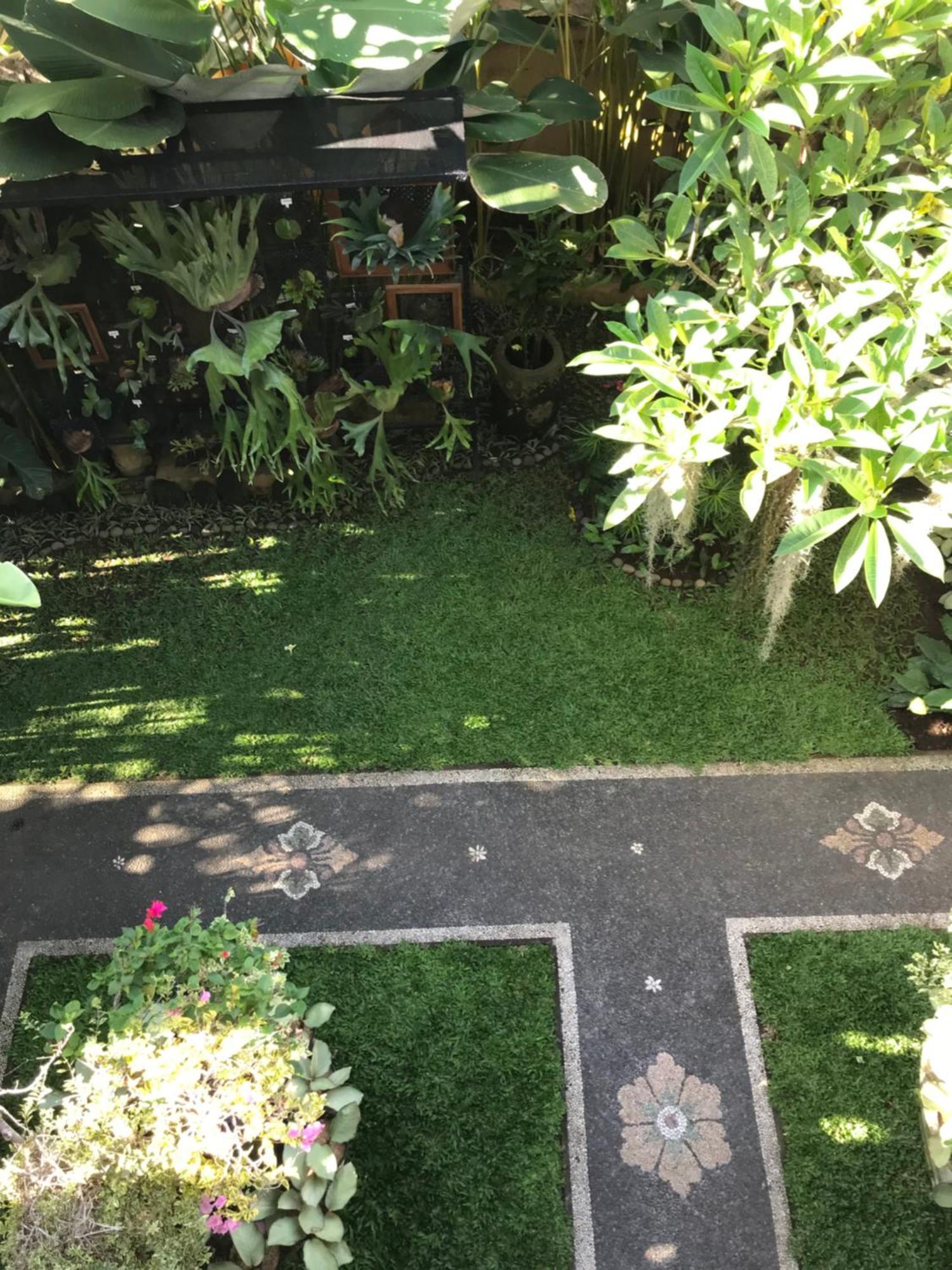 Gus Arditya Homestay Ubud  Luaran gambar