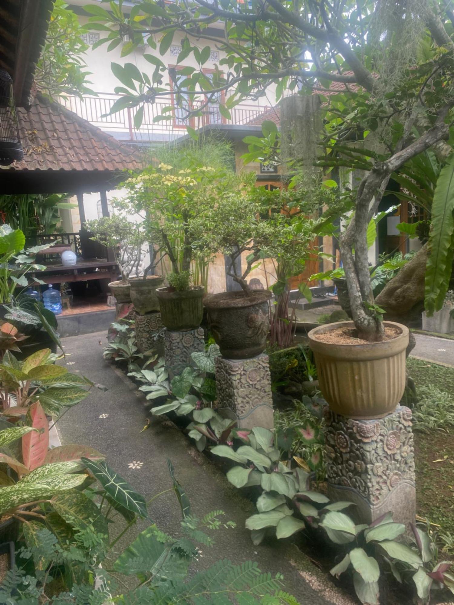 Gus Arditya Homestay Ubud  Luaran gambar