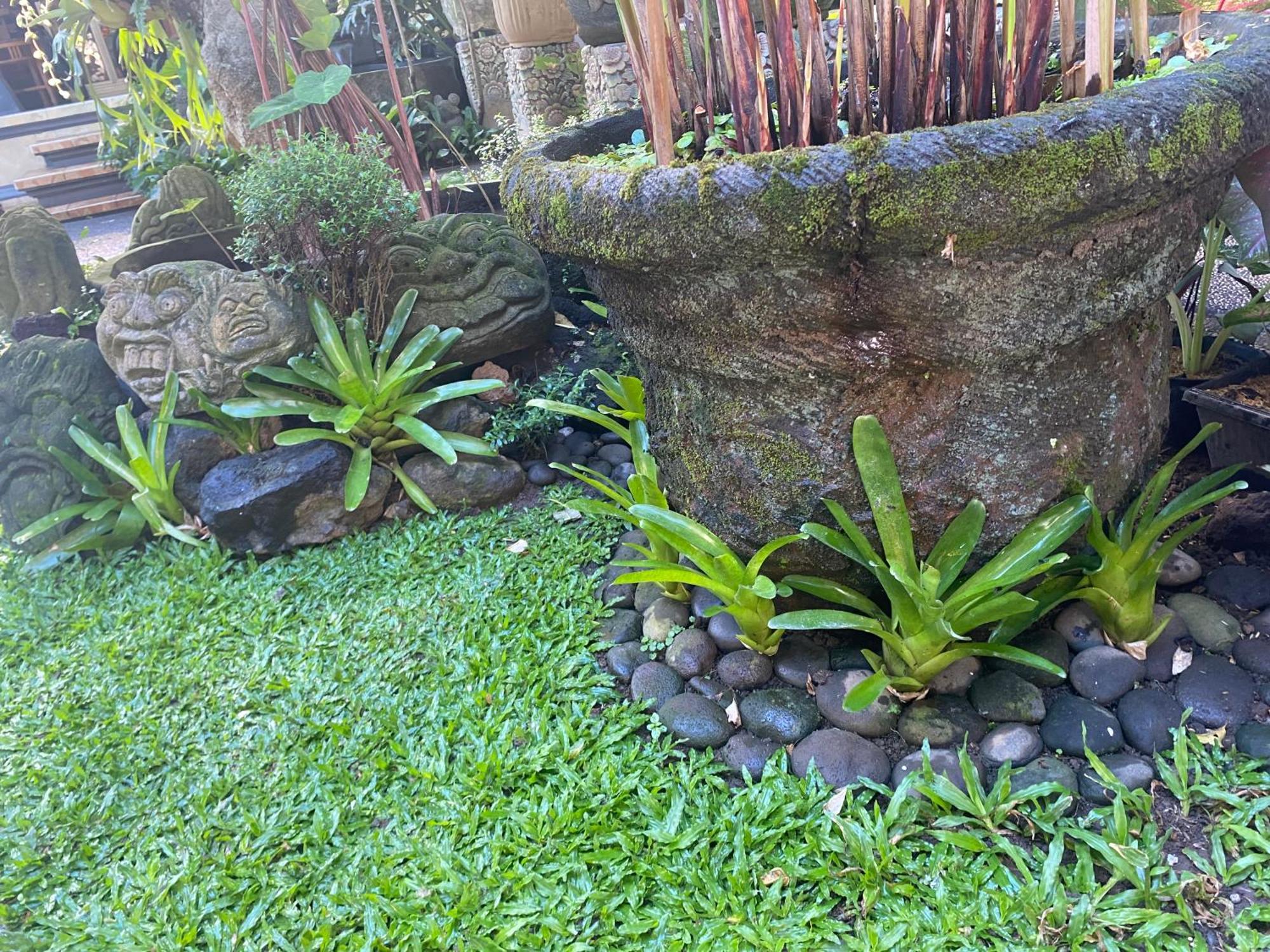 Gus Arditya Homestay Ubud  Luaran gambar