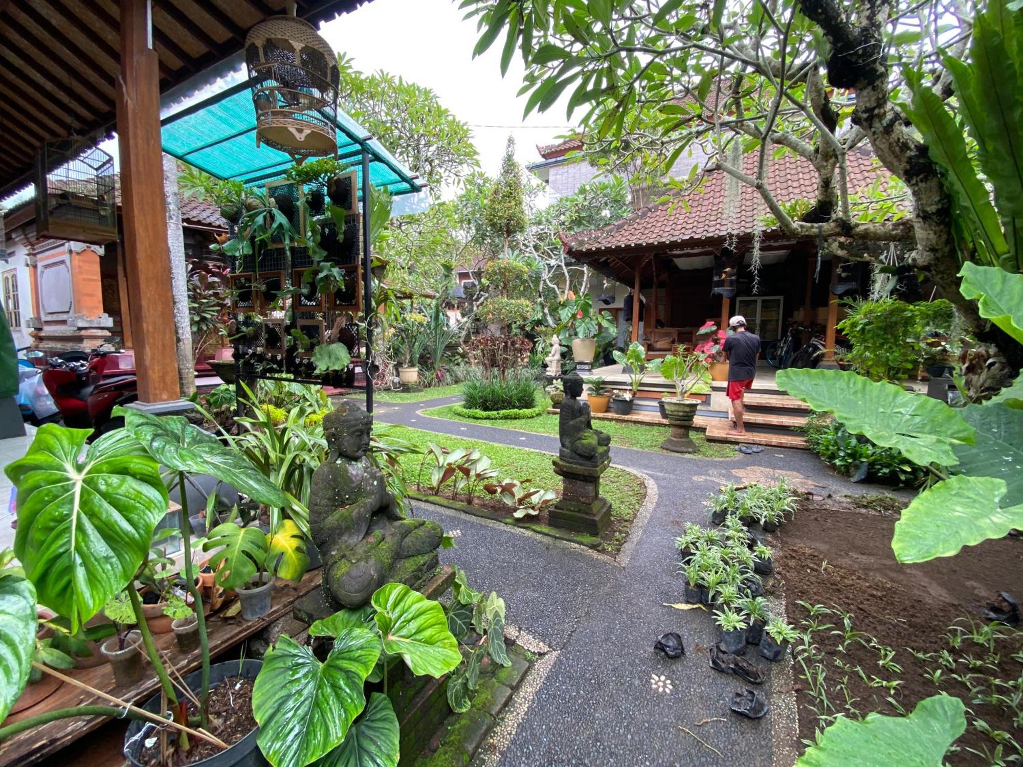 Gus Arditya Homestay Ubud  Luaran gambar