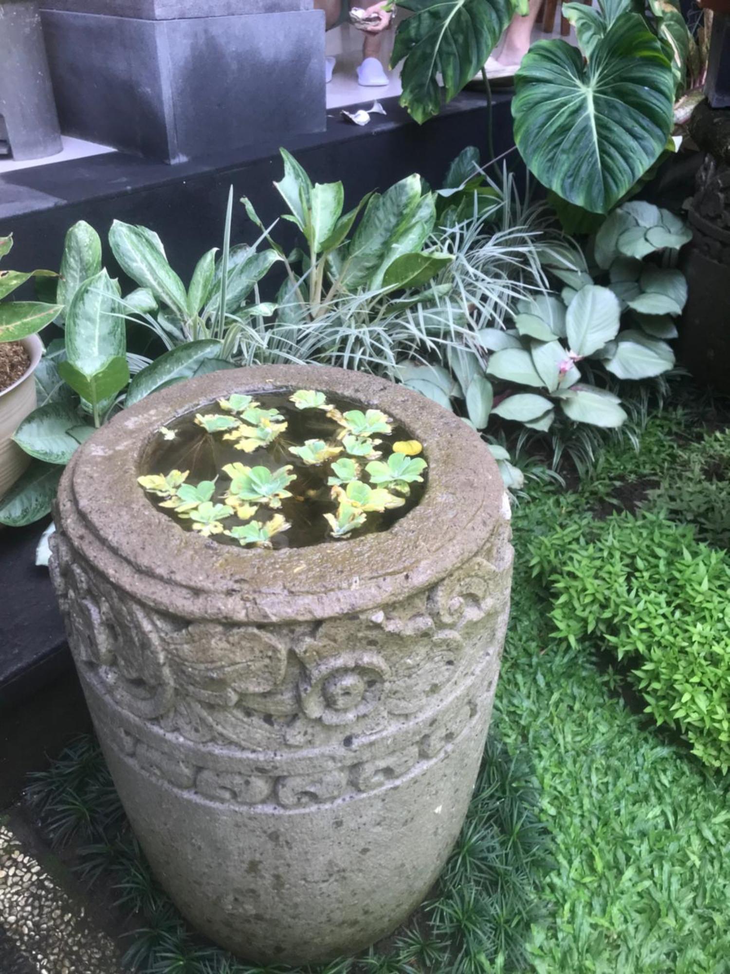 Gus Arditya Homestay Ubud  Luaran gambar